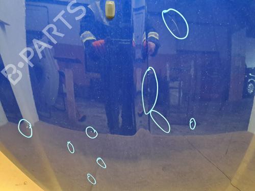 Hood FORD FIESTA VI (CB1, CCN) 1.6 Ti | BP29681173C1
