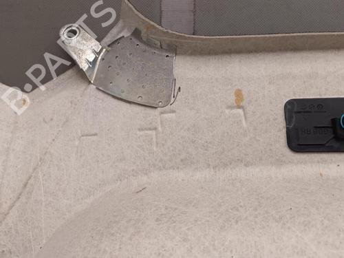 Interior roof BMW X6 (G06, F96) xDrive M 50 d | BP29650936I12