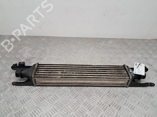Used Intercooler VAUXHALL CORSA Mk III (D) (S07) 1.3 CDTI (L08) (75 hp) 29675493