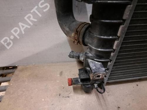 Radiatore acqua VAUXHALL ZAFIRA Mk II (B) (A05) 1.6 | BP29647842M31 