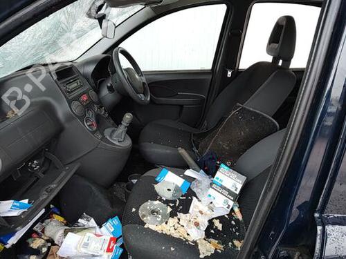 Passenger airbag FIAT PANDA (169_) 1.2 (169AXF2A, 169AXF1A) | BP29675934C10 