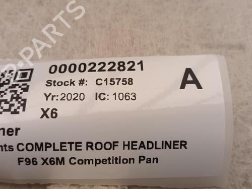 Interior roof BMW X6 (G06, F96) xDrive M 50 d | BP29650936I12