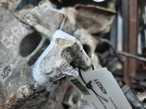 Engine RENAULT CLIO III (BR0/1, CR0/1) 1.2 16V (BR0P, CR0P) | BP29667598M1