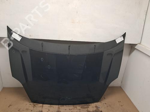 Used Hood FIAT PUNTO (199_) 1.4 (199AXB1A, 199BXB1A, 199BXB11, 199AXB11) (78 hp) 29670033