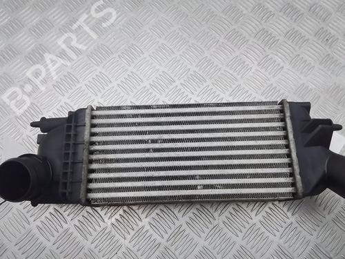 Intercooler CITROËN C5 III (RD_) 1.6 HDi 110 (RD9HZC) | BP29665315M30 