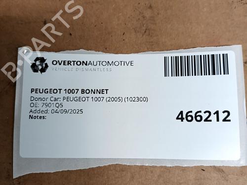 Hood PEUGEOT 1007 (KM_) 1.6 16V | BP29684805C1