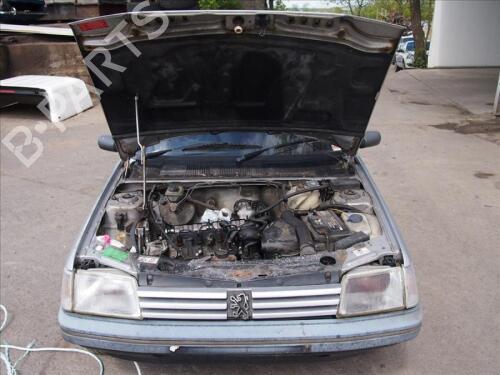 Tailgate PEUGEOT 205 II (20A/C) 1.8 Diesel | BP29669484C6