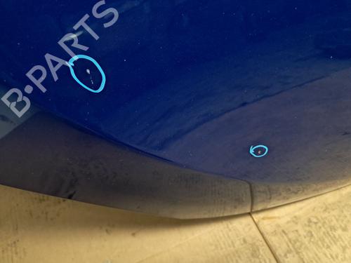 Hood RENAULT MEGANE III Hatchback (BZ0/1_, B3_) 1.5 dCi (BZ09, BZ0D, BZ1W, BZ29, BZ14) | BP29670705C1 