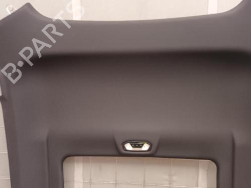 Interior roof BMW X6 (G06, F96) xDrive M 50 d | BP29650936I12