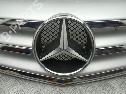 Grille MERCEDES-BENZ A-CLASS (W169) A 170 (169.032, 169.332) | BP29668027C40 