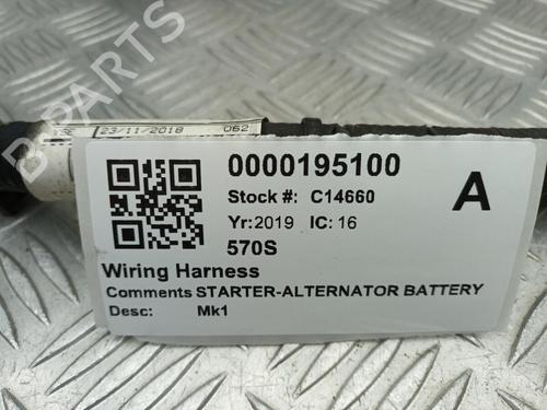 Wiring harness MCLAREN 570S 3.8 | BP29650106E16