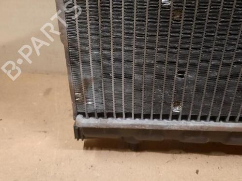 Water radiator HYUNDAI TRAJET (FO) 2.0 | BP29647838M31 