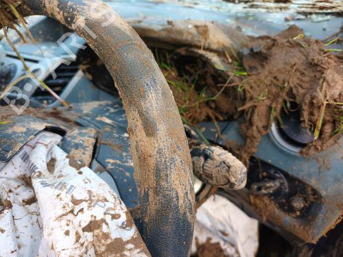 Rat FORD FIESTA VI (CB1, CCN) 1.6 TDCi | BP29657754C49 