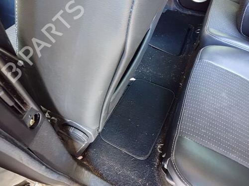 Right front door RENAULT SCÉNIC III (JZ0/1_) 1.5 dCi | BP29679407C3