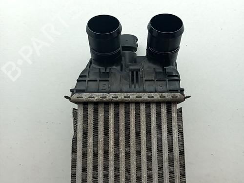 Intercooler CITROËN C3 II (SC_) 1.6 BlueHDi 75 | BP29682540M30