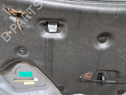 Hood NISSAN NAVARA NP300 (D40) 2.5 dCi 4WD (D40TT, D40T, D40M, D40BB) | BP29678991C1