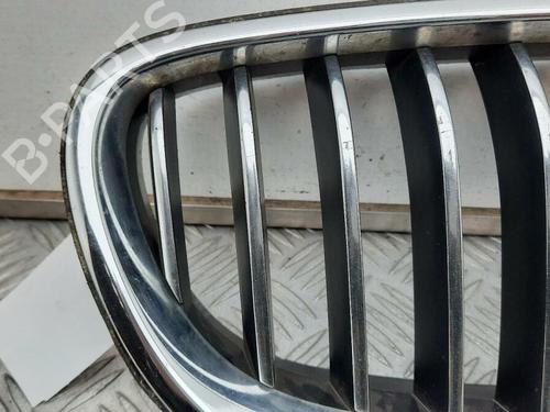 Grille BMW 5 Touring (F11) 535 d | BP29647536C40 