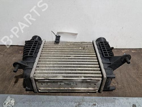 Intercooler RENAULT CLIO III (BR0/1, CR0/1) 1.2 16V (BR0P, CR0P) | BP29666521M30