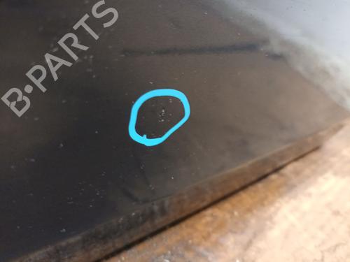 Right rear door SKODA ROOMSTER (5J7) 1.9 TDI | BP29666368C5