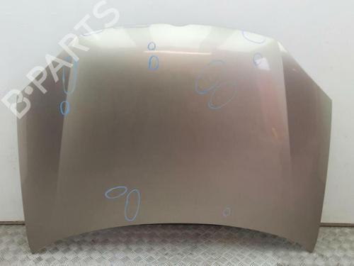 Used Hood VW GOLF V (1K1) 2.0 SDI (75 hp) 29647758
