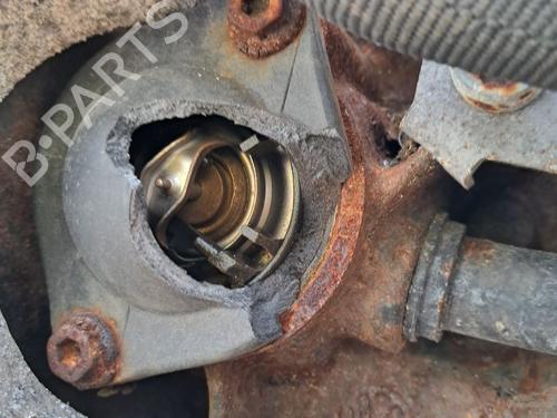 Engine VW GOLF PLUS V (5M1, 521) 1.9 TDI | BP29666985M1