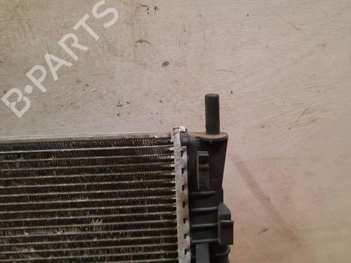 Water radiator VOLVO C30 (533) 2.0 | BP29647902M31
