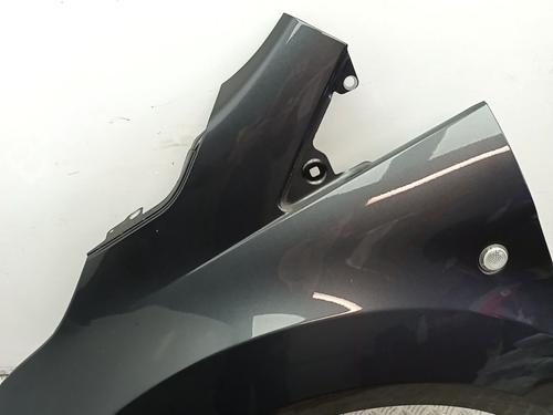 Left front fenders FORD TOURNEO CONNECT / GRAND TOURNEO CONNECT V408 MPV 1.0 EcoBoost | BP29761639C41 