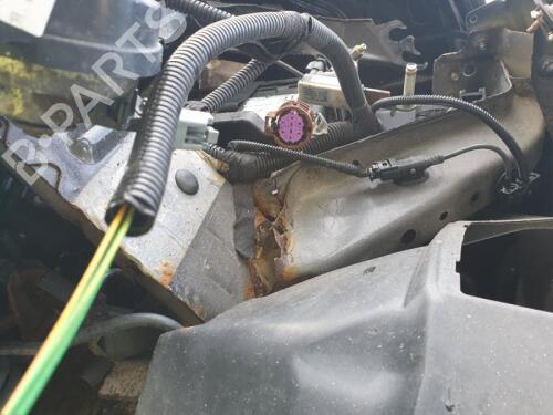 Rear right seatbelt FIAT 500 (312_) 1.2 (312AXA1A) | BP29649454I28 