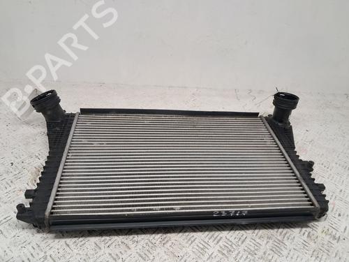 Intercooler VW GOLF PLUS V (5M1, 521) 1.9 TDI | BP29666976M30 
