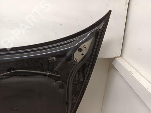 Hood VOLVO C30 (533) D2 | BP29665654C1 