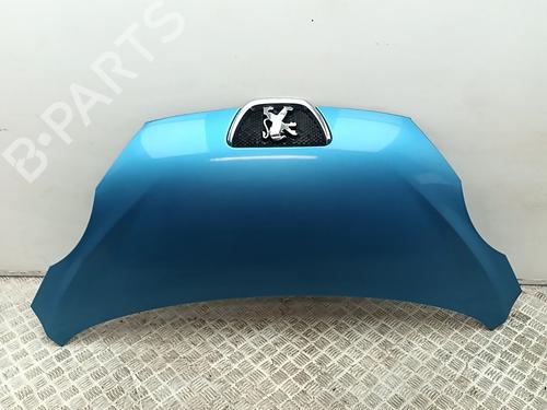 BP29660273C1 main image