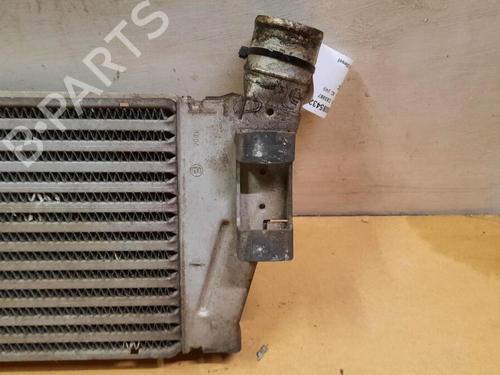 Intercooler RENAULT GRAND SCÉNIC II (JM0/1_) 1.9 dCi (JM0G, JM12, JM1G, JM2C) | BP29647915M30 