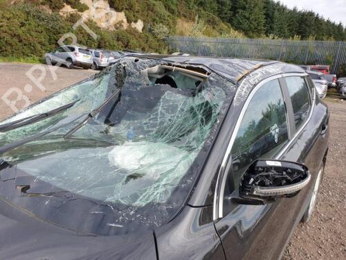 Fuel tank NISSAN QASHQAI II (J11, J11_) 1.2 DIG-T | BP30404932C62 