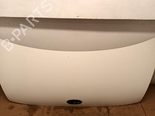 Hood FORD TRANSIT Bus (FD_ _, FB_ _, FS_ _, FZ_ _, FC_ _) 2.4 TDE | BP29686040C1