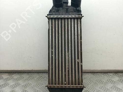 Intercooler CITROËN C3 II (SC_) 1.6 BlueHDi 75 (75 hp) 29682540