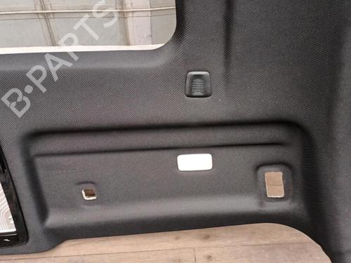 Interior roof BMW X6 (G06, F96) xDrive M 50 d | BP29650936I12
