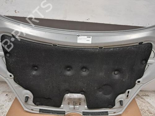 Hood FORD FIESTA VI Van 1.6 TDCi | BP29667219C1 