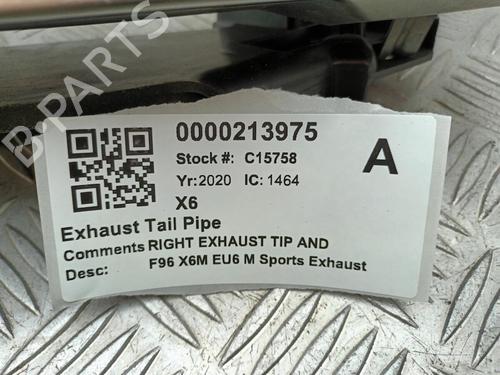 Pipe BMW X6 (G06, F96) xDrive M 50 d | BP29650650M125