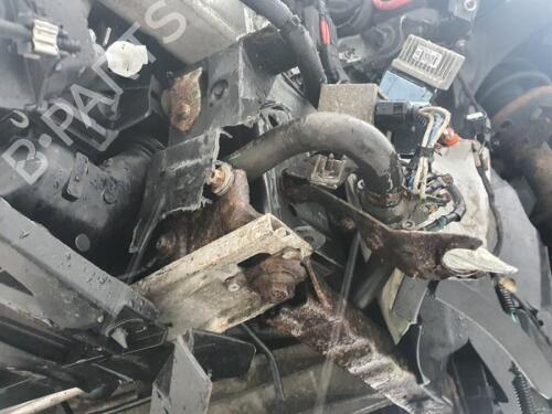 Front left seatbelt RENAULT MEGANE III Coupe (DZ0/1_) 1.5 dCi (DZ09, DZ0D, DZ1F, DZ1G, DZ14, DZ29) | BP29659364I26 