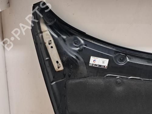 Hood PEUGEOT 3008 I MPV (0U_) 1.6 THP | BP29675216C1