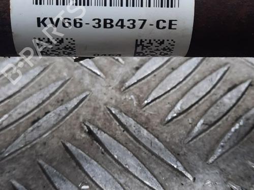 Left front driveshaft FORD TOURNEO CONNECT / GRAND TOURNEO CONNECT V408 MPV 1.5 EcoBlue | BP29687356M38