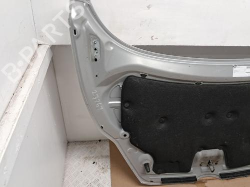 Hood FORD FIESTA VI Van 1.6 TDCi | BP29667219C1 
