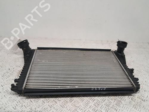 Used Intercooler VW GOLF PLUS V (5M1, 521) 1.9 TDI (105 hp) 29666976