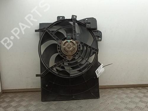 Used Fan PEUGEOT 207 (WA_, WC_) 1.6 HDi (90 hp) 29648876