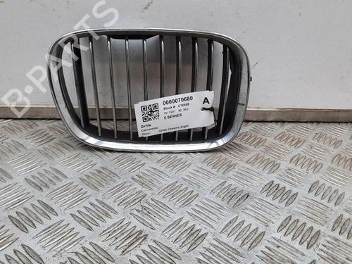 Grille BMW 5 (E39) 535 i | BP29647525C40