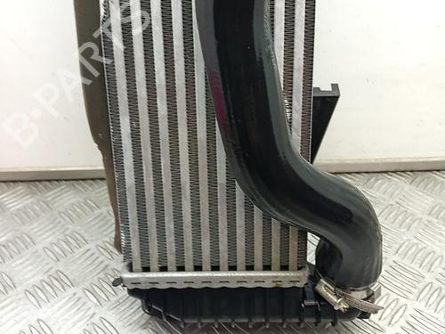 Intercooler FORD TOURNEO CONNECT / GRAND TOURNEO CONNECT V408 MPV 1.0 EcoBoost | BP29902666M30