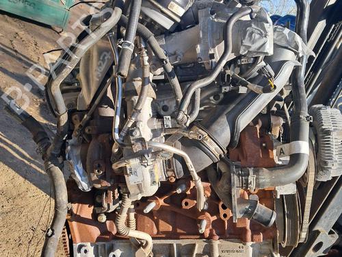 Engine FORD RANGER (TKE) 2.0 EcoBlue 4x4 | BP29650916M1