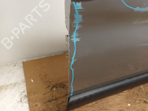 Right front door PEUGEOT PARTNER MPV (5_, G_) 1.6 HDi 75 | BP29666866C3 