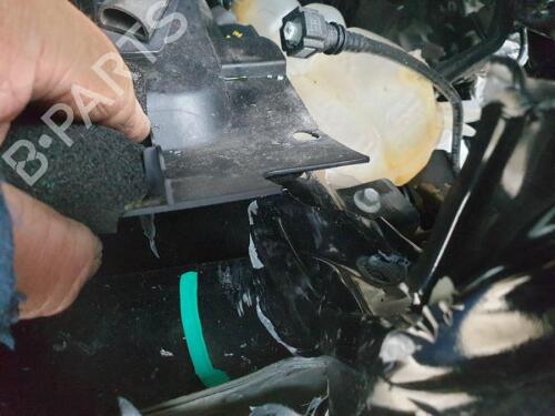 Højre bremsekaliber foran FORD RANGER (TKE) 2.0 EcoBlue 4x4 | BP29647156M104 