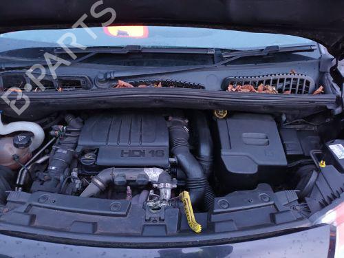 Rear left seatbelt CITROËN C3 Picasso (SH_) 1.6 HDi | BP29655967I29 